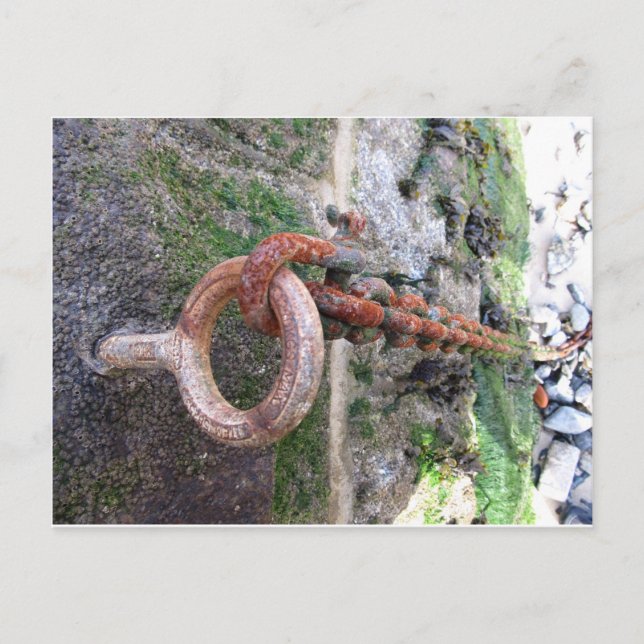 St. Ives Boat Chain Postcard (Front)