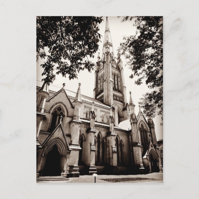 St. James' Cathedral Church Postcard (Front)
