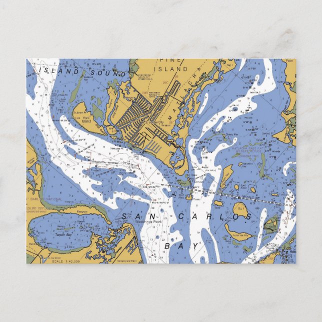 St. James City, Floride Carte postale Carte Nautiq (Devant)