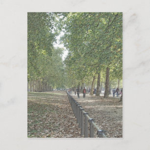 St Jame's Park Postcard