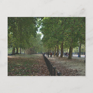 St. Jame's Postcard