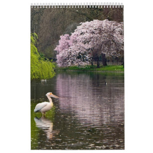 St James's Park, London  Calendar