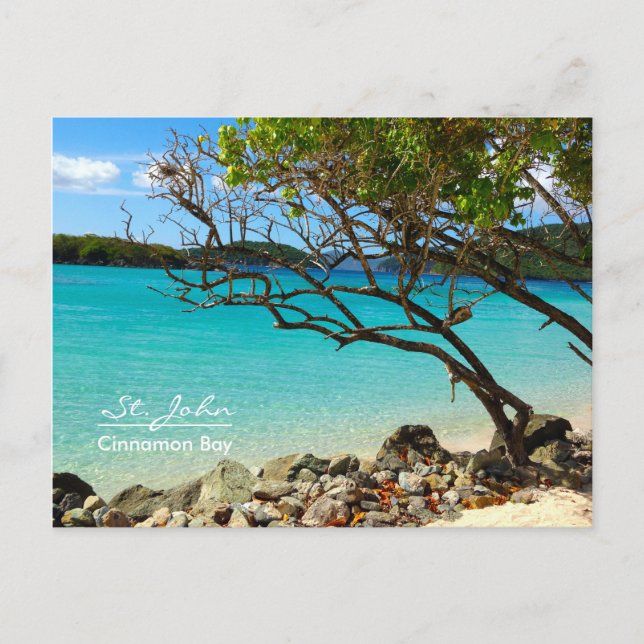 St. John USVI Cinnamon Bay Beach Postcard (Front)