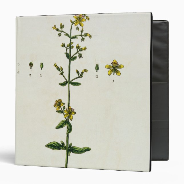 St. John's Wort, plate 15 from 'A Curious Herbal', Binder (Front/Inside)