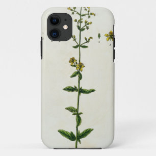 St. John's Wort, plate 15 from 'A Curious Herbal', iPhone 11 Case