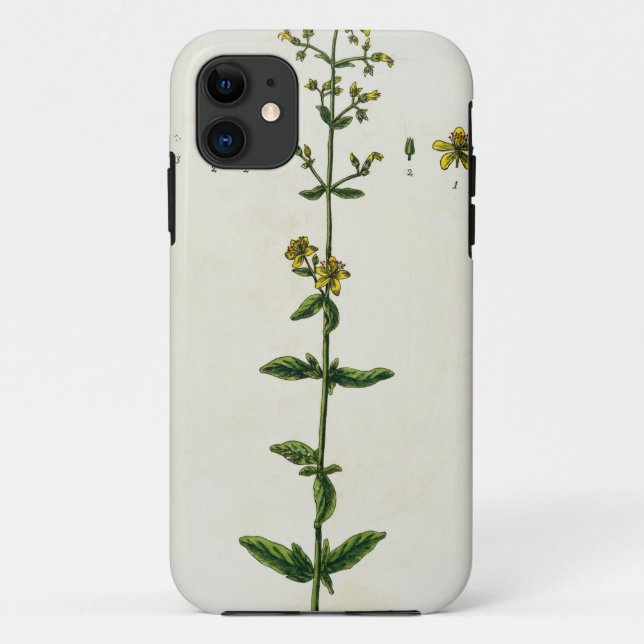 St. John's Wort, plate 15 from 'A Curious Herbal', Case-Mate iPhone Case (Back)