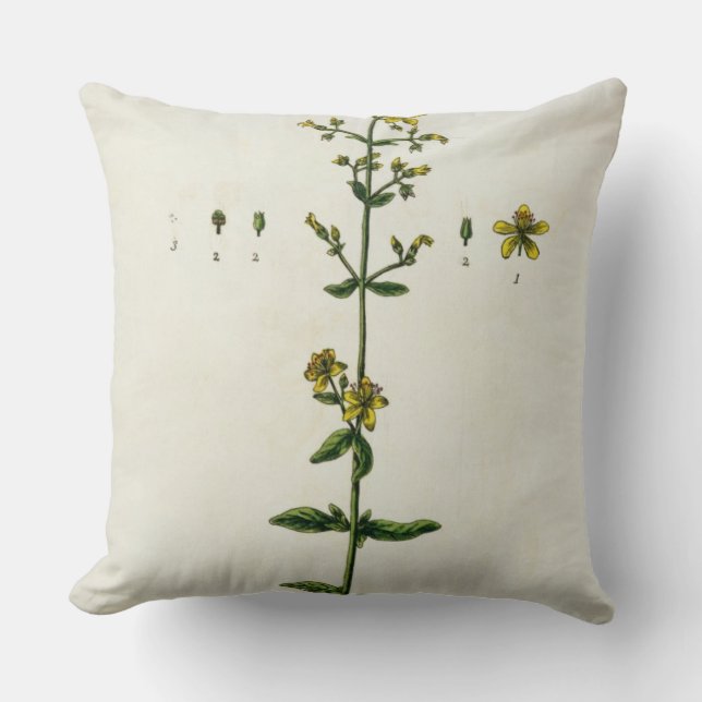 St. John's Wort, plate 15 from 'A Curious Herbal', Throw Pillow (Front)
