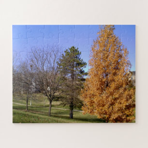 St Louis, MO Clifton Park Fall Trees Puzzle