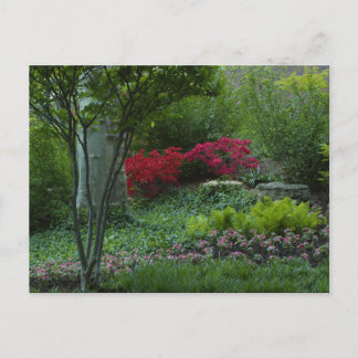 St Louis Zoo 2009 Postcard