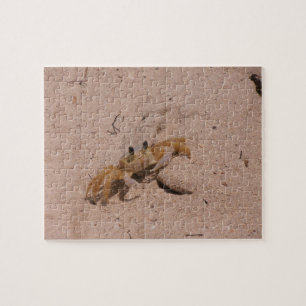 St. Lucian Crab Puzzle