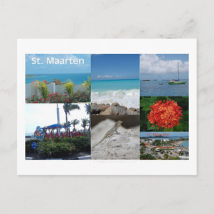 St. Maarten-St. Martin by Celeste Sheffey Postcard