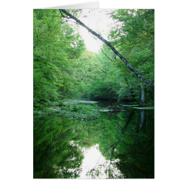 St. Marks River (Front)