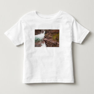 St Mary Falls in Glacier National Park in Toddler T-shirt