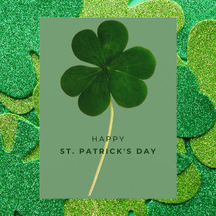 St. Patrick’s Day with Realistic Clover Postcard