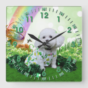 St Patrick's Day - Bichon Frise - Mia Square Wall Clock