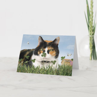 St. Patrick's Day Cat Card Funny Cute Best