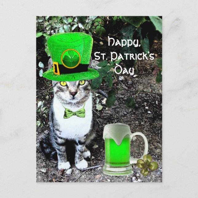 ST PATRICK'S DAY CAT WITH GREEN IRISH BEER POSTCARD (Front)