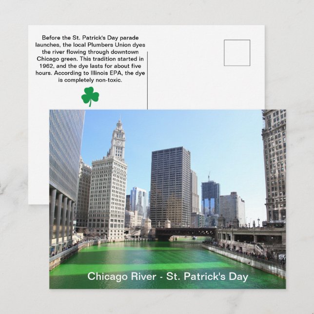 St. Patrick's Day Chicago's Green River Fun Facts Postcard (Front/Back)