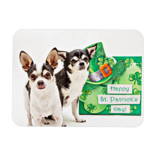 St. Patrick's Day Chihuahua's Magnet