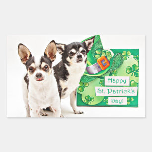 St. Patrick's Day Chihuahua's Sticker