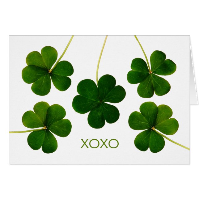 St. Patrick's Day for Boyfriend, XOXO Shamrocks (Front Horizontal)