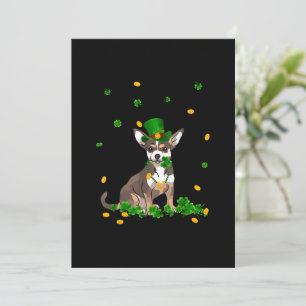 St Patricks Day Irish Chihuahua With Green Hat Gif
