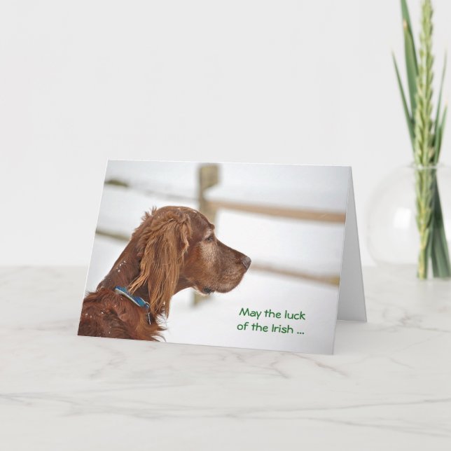 St. Patrick's Day Irish Setter Card (Front)