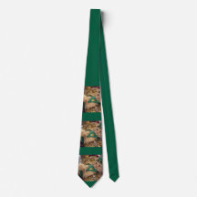 St Patrick's Day Leprechaun Cat 