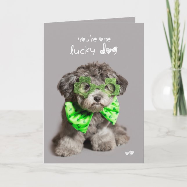 St Patricks Day Lucky Dog Card (Front)