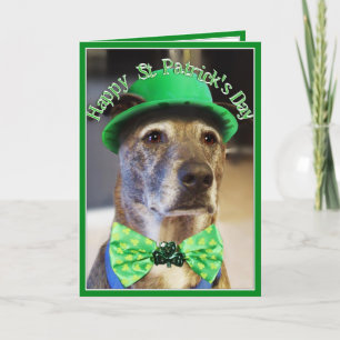 St Patrick's Day Lucky Dog Card