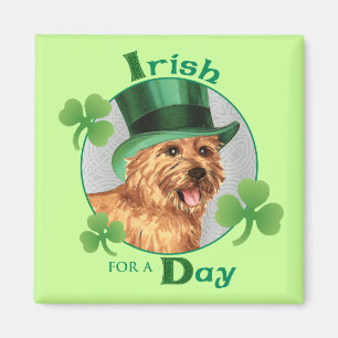 St. Patrick's Day Norwich Terrier Magnet