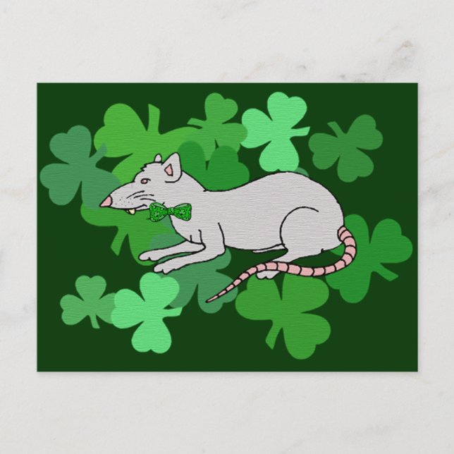 St. Patrick's Day Rat Postcard (Front)
