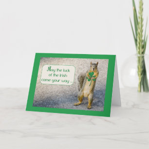 St. Patrick's Day, Squirrel, Humourous Card