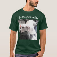 St. Patrick's Day Tired White Dog Resting Green