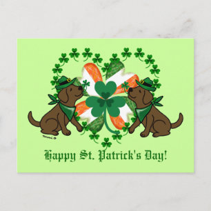 St. Patrick's Day Two Chocolate Labradors Postcard