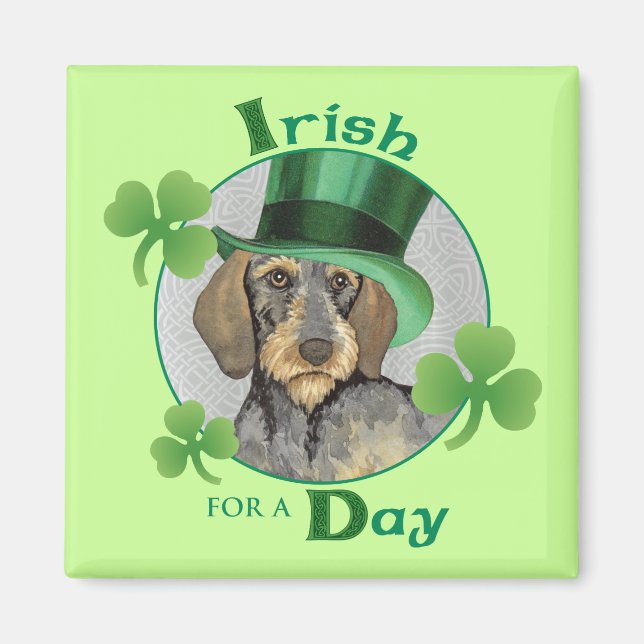 St. Patrick's Day Wirehaired Dachshund Magnet (Front)
