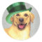 St. Patrick's Day Yellow Lab