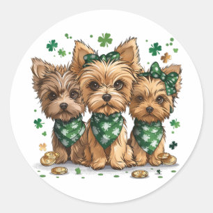 St. Patrick's Day Yorkshire Terrier Dogs Classic Round Sticker