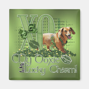 St Patricks - Me Lucky Charm - Dachshund - Abby Magnet