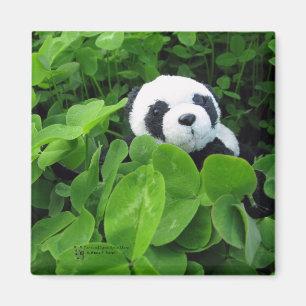St. Patricks Panda Magnet
