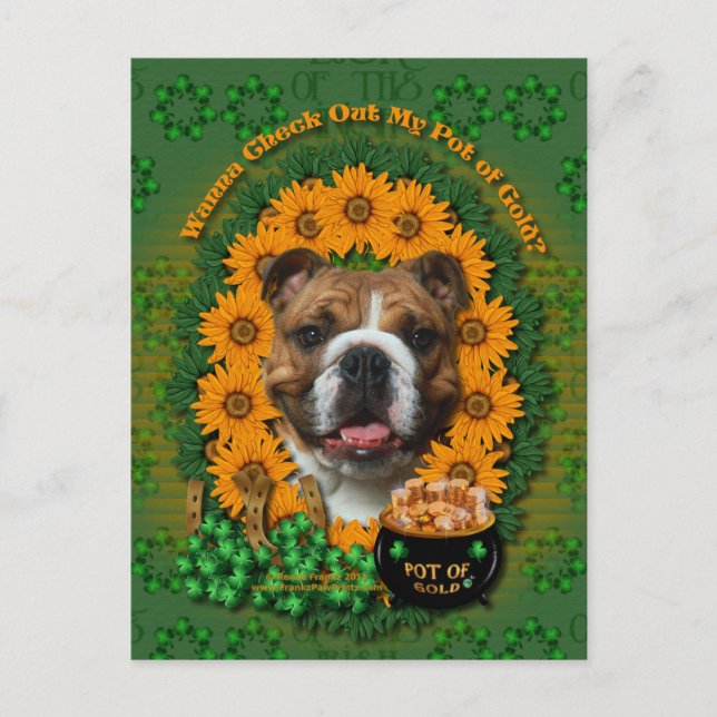 St Patricks - Pot of Gold - Bulldog Postcard (Front)
