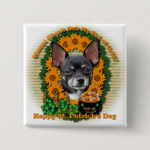 St Patricks - Pot of Gold - Chihuahua - Isabella 2 Inch Square Button