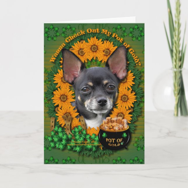 St Patricks - Pot of Gold - Chihuahua - Isabella Card (Front)