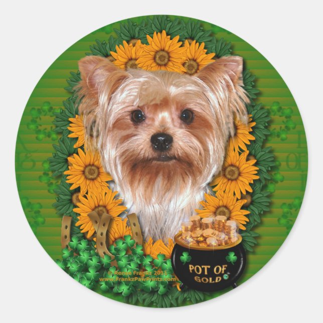 St Patricks - Pot of Gold - Yorkshire Terrier Classic Round Sticker (Front)