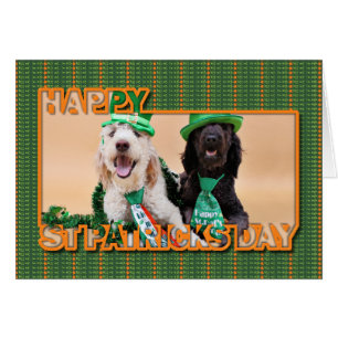 St Pats Day - GoldenDoodles - Sadie and Izzie