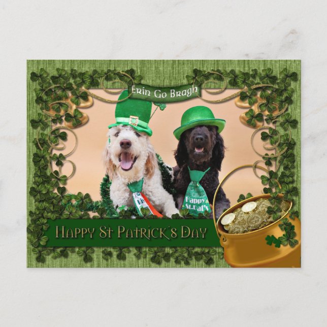 St Pats Day - GoldenDoodles - Sadie and Izzie Postcard (Front)
