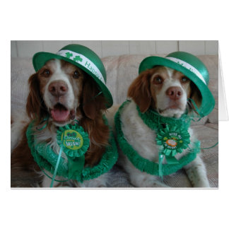 ST PATTY'S DAY BRITTANYS