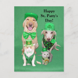 St. Patty's Day Get Together Postcard