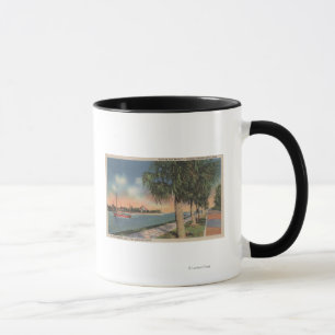 St. Petersburg, FL - View of Coffee Pot Mug