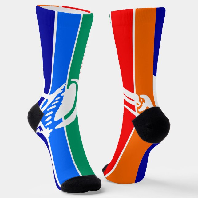 St.Petersburg (Florida) city flag Socks (Angled)